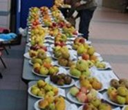 Fête des pommes32