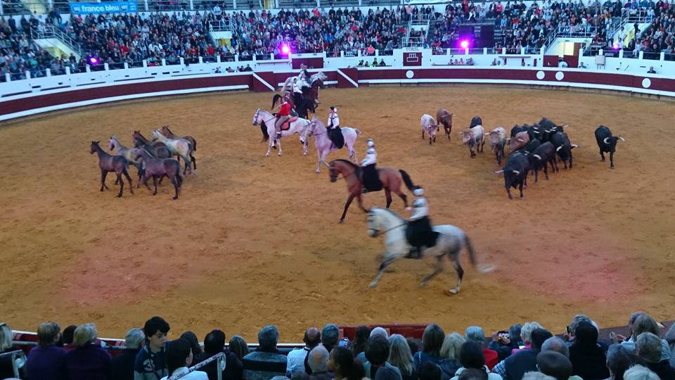 Le Kiwanis organise un spectacle au profit de l&rsquo;association Autisme Landes