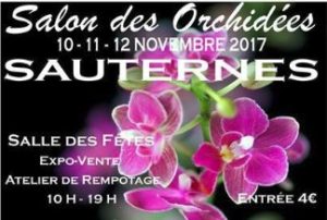 Orchidées 12 nov