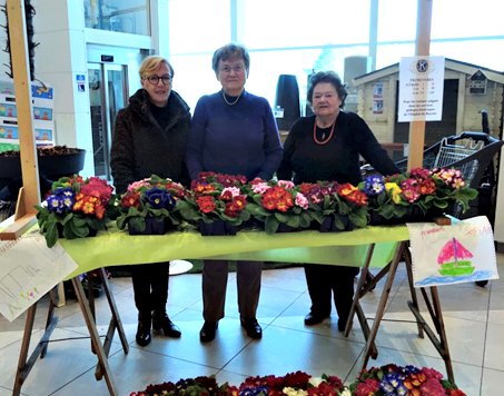 DES FLEURS VENDUES AU PROFIT DES ENFANTS MALADES