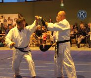nuit des Arts martiaux