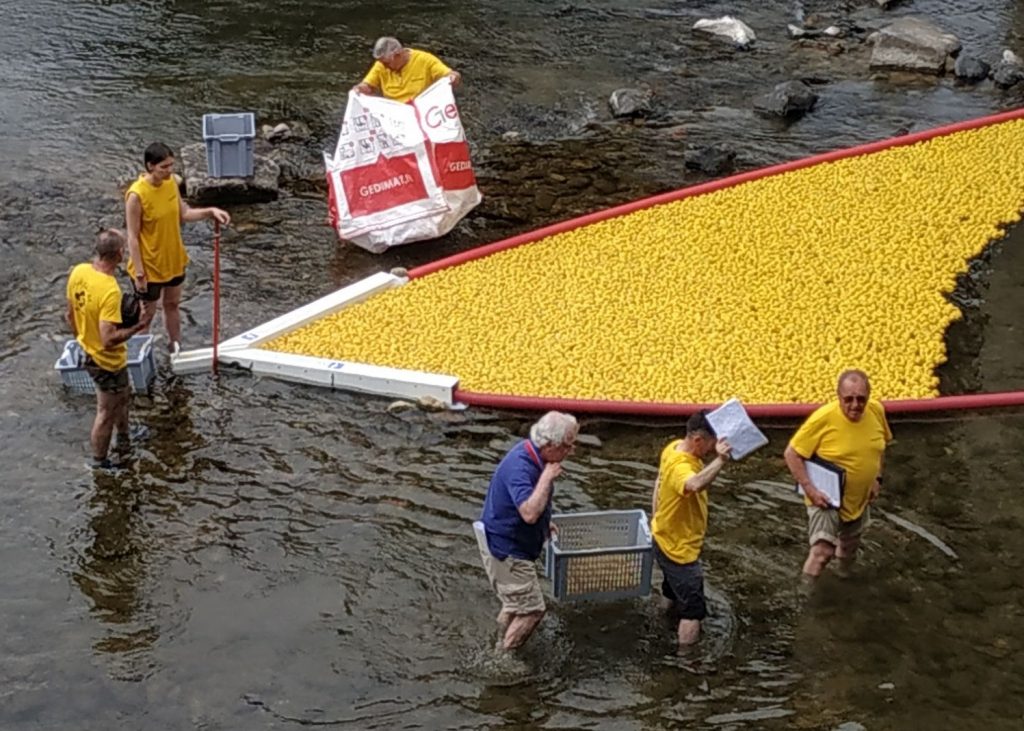 course de canards