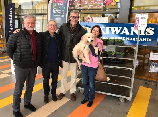 VENTE DE PRIMEVERES pour HANDICHIENS
