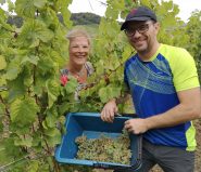 les vendanges du cœur