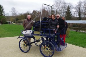 VOITURE HIPPOMOBILE