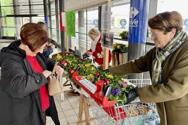 Vente de primevères par les deux clubs de Bayeux