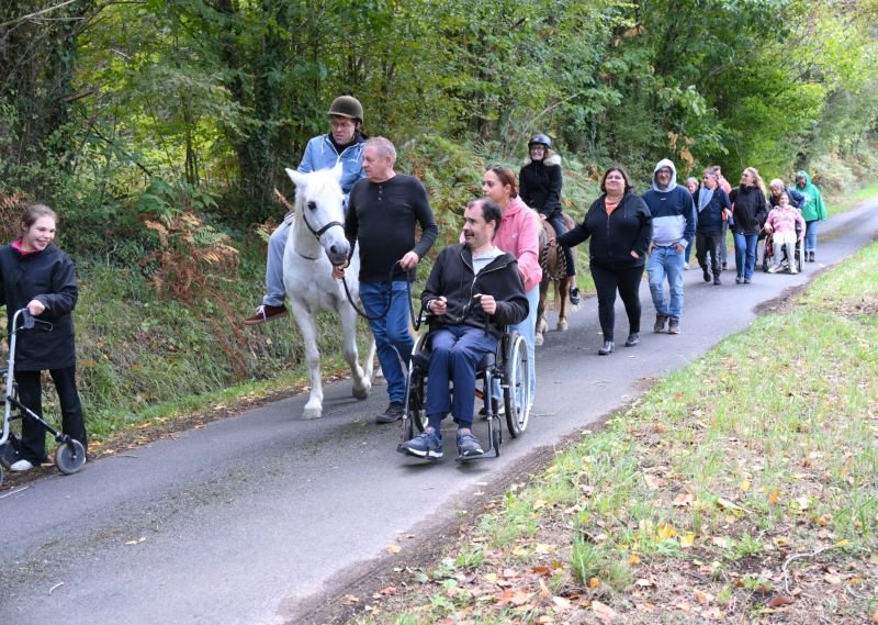 L&rsquo;équithérapie avec le club de périgueux